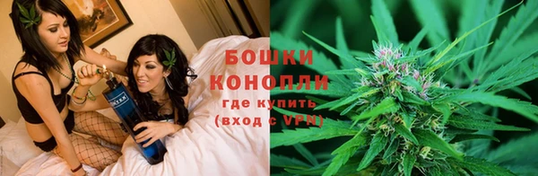 мяу мяу мука Нижний Тагил